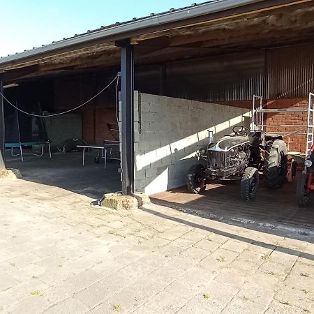 Natuur-Like Glamping In Bosland NeerNeerpelt Extérieur photo