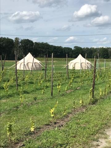 Natuur-Like Glamping In Bosland NeerNeerpelt Extérieur photo