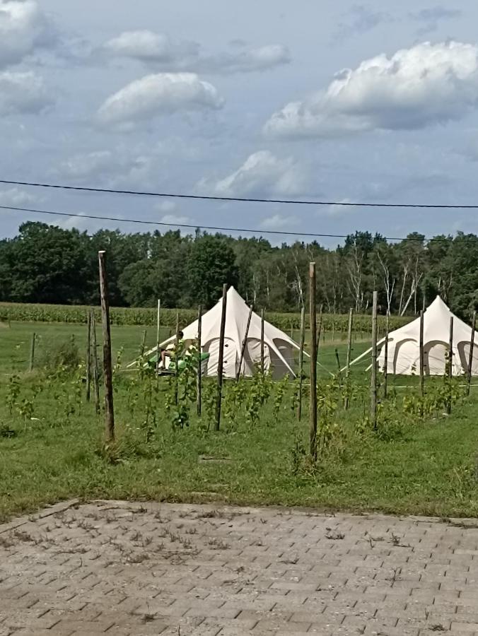 Natuur-Like Glamping In Bosland NeerNeerpelt Extérieur photo