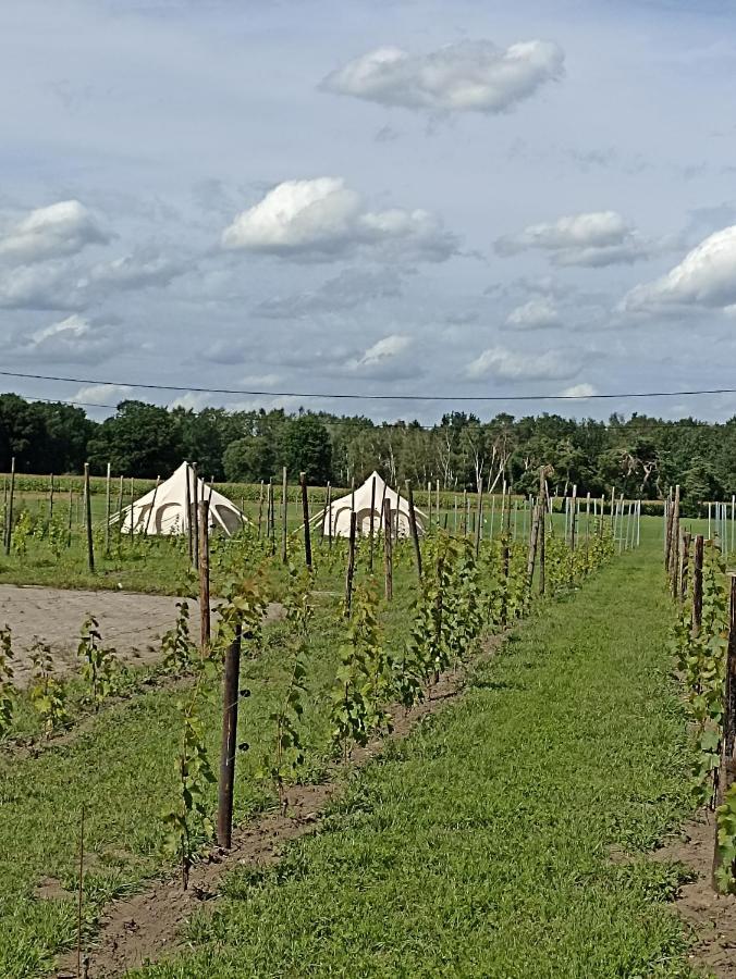 Natuur-Like Glamping In Bosland NeerNeerpelt Extérieur photo