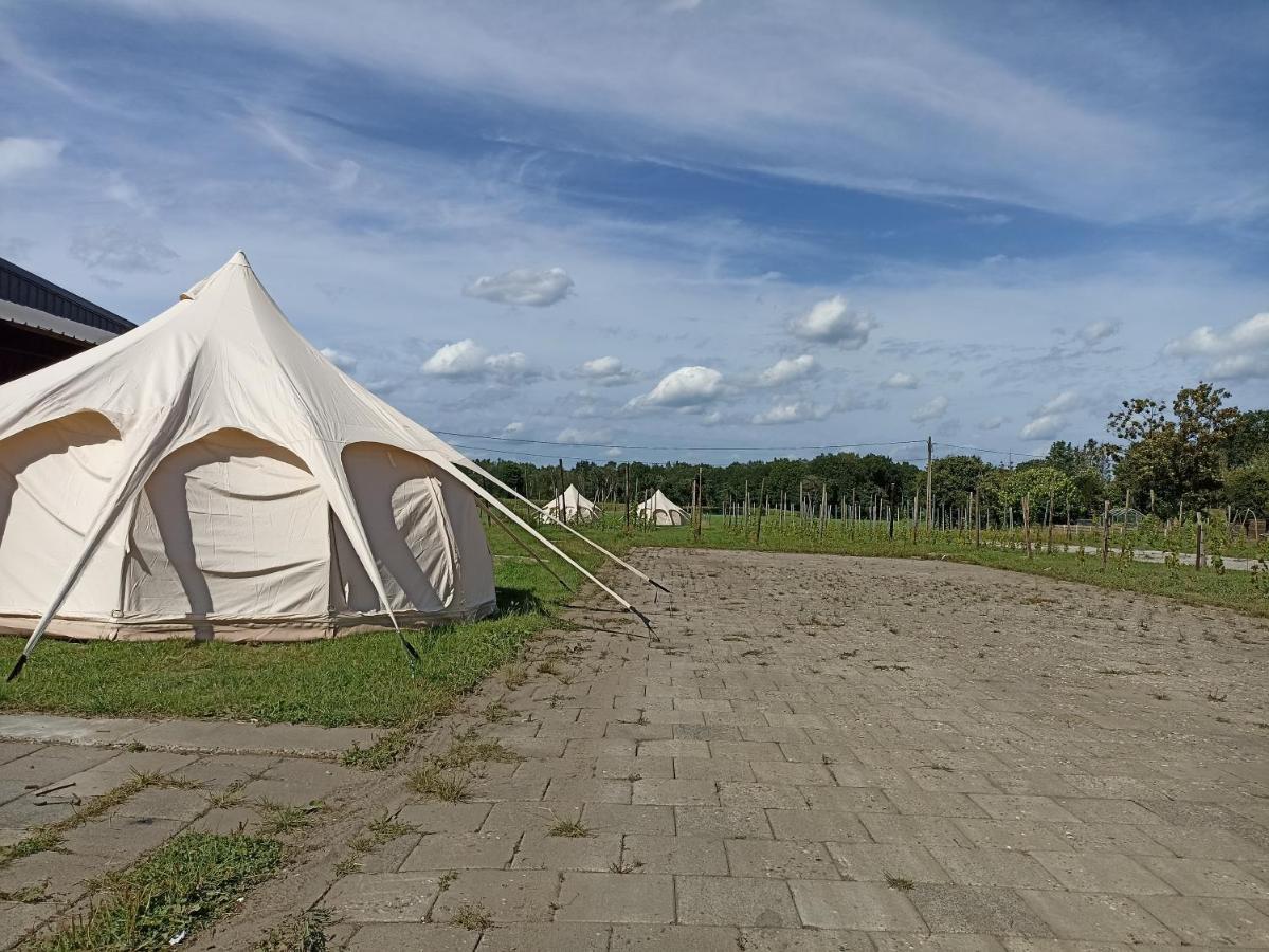 Natuur-Like Glamping In Bosland NeerNeerpelt Extérieur photo