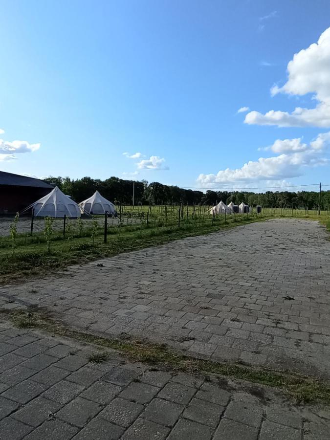 Natuur-Like Glamping In Bosland NeerNeerpelt Extérieur photo